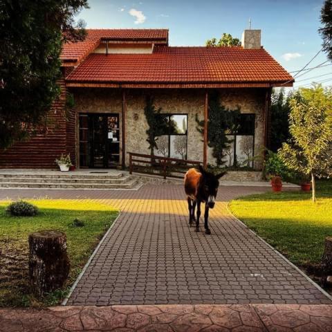 Casa Cu Nuc Otel Brebeni Dış mekan fotoğraf