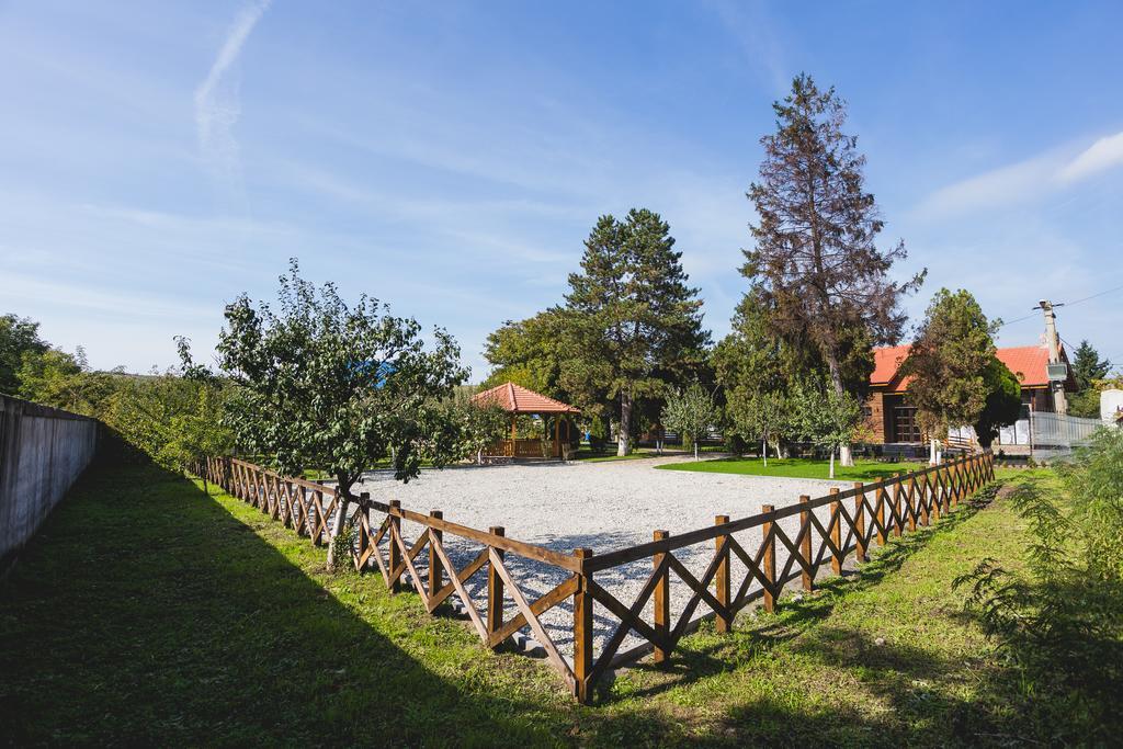 Casa Cu Nuc Otel Brebeni Dış mekan fotoğraf