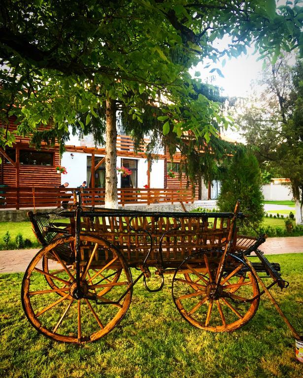 Casa Cu Nuc Otel Brebeni Dış mekan fotoğraf