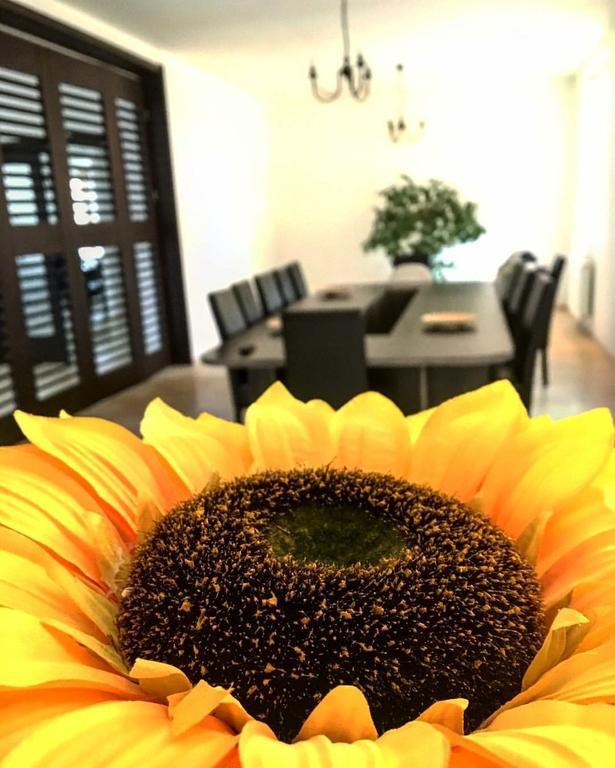 Casa Cu Nuc Otel Brebeni Dış mekan fotoğraf