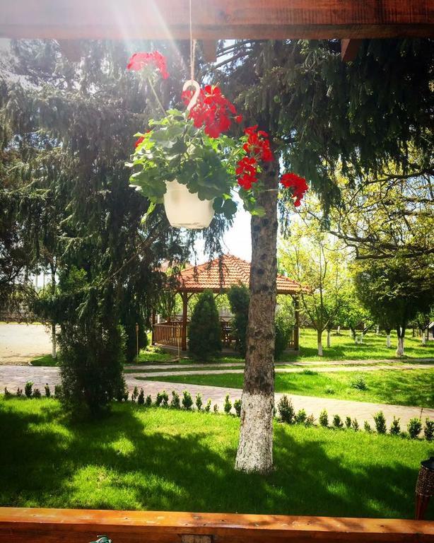 Casa Cu Nuc Otel Brebeni Dış mekan fotoğraf