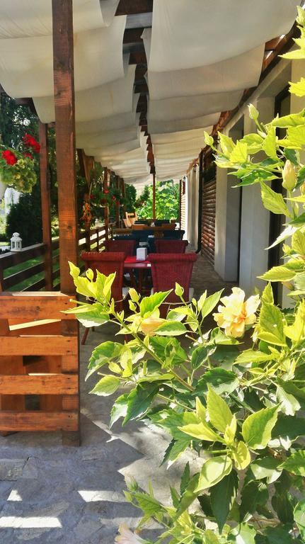 Casa Cu Nuc Otel Brebeni Dış mekan fotoğraf