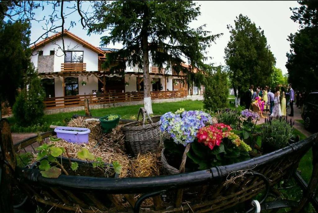 Casa Cu Nuc Otel Brebeni Dış mekan fotoğraf